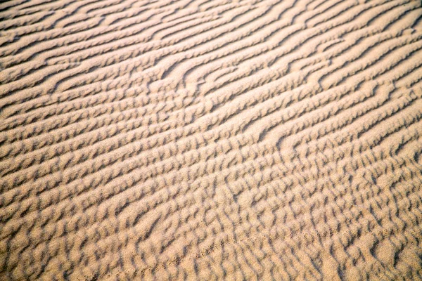 Afrikanische düne sahara marokkanische wüste — Stockfoto