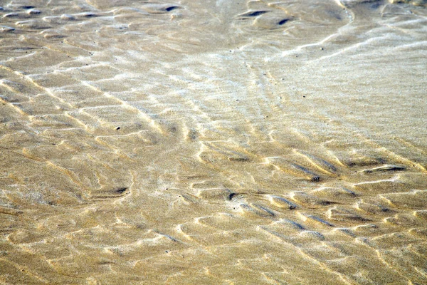 Dun África costa marrom praia de areia molhada — Fotografia de Stock