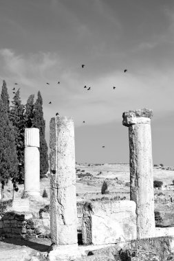 ve Roma Tapınağı geçmiş pamukkale kuş