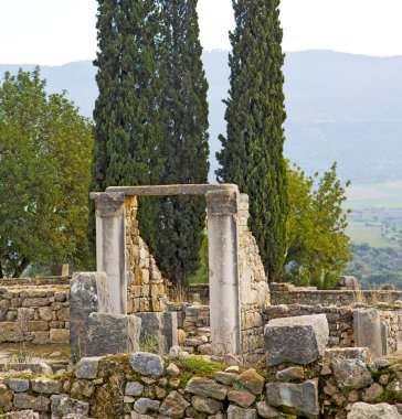 Volubilis Fas Afrika Selvi ve site