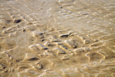 Dune beach Atlantik Okyanusu yakın