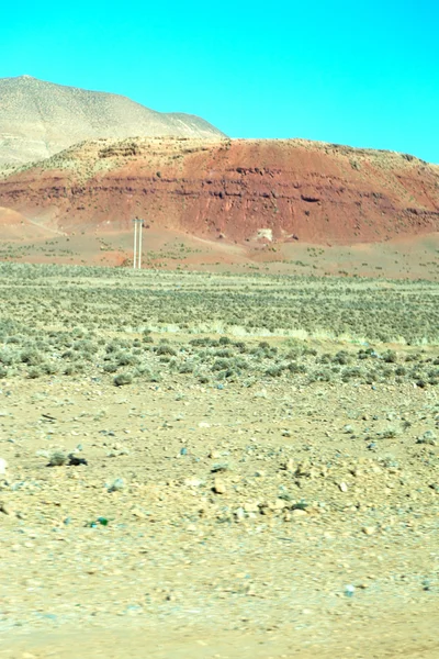 Arbusto marrón en Marruecos África el atlas — Foto de Stock