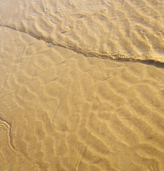 Morocco in Africa costa marrone spiaggia di sabbia bagnata vicino atlantica o — Foto Stock