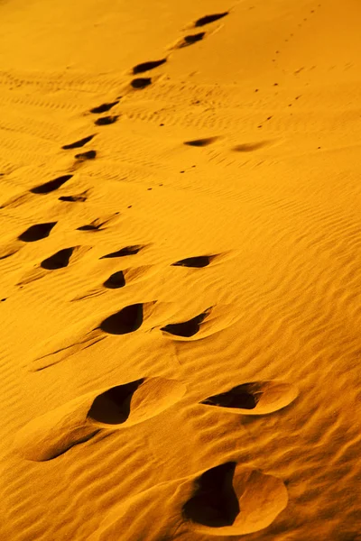 A barna homok dűne nyomdok marokkói sivatagban — Stock Fotó