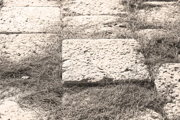 Pine needles    ruins stone and theatre in  antalya  arykanda tu — Stock Photo, Image