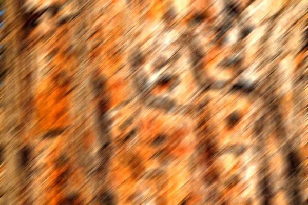 Barck in the abstract close up of a tree color and texture — Stock Photo, Image