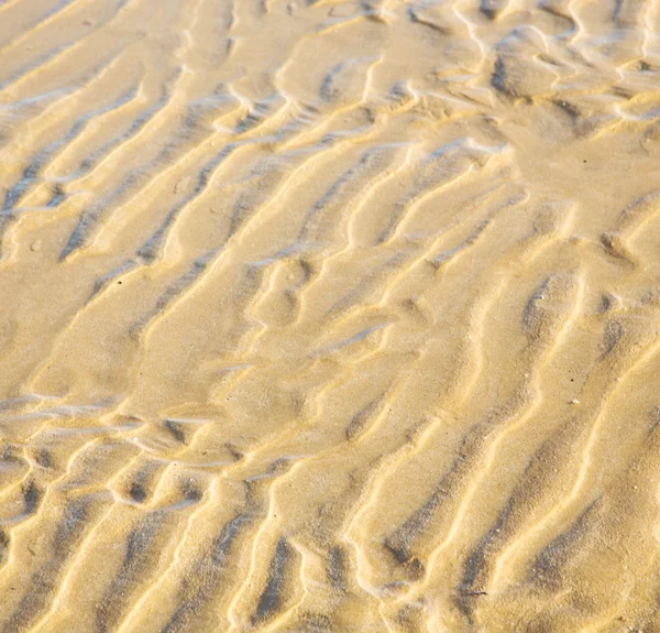 Dune morocco em áfrica costa marrom praia de areia molhada perto de atlan — Fotografia de Stock