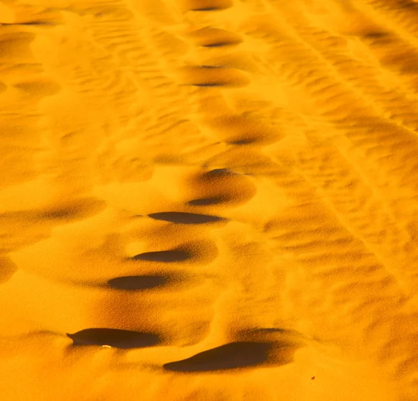 Afrika het bruin Duin van het zand van sahara woestijn Marokko lijn — Stockfoto