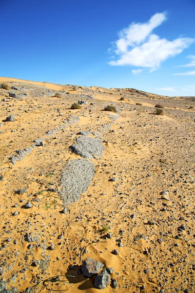 Arbusto viejo fósil en roca y cielo de piedra — Foto de Stock