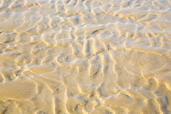 Dune morocco na costa africana areia molhada atlântica — Fotografia de Stock