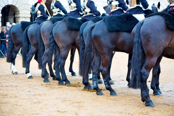 Para la reina en el caballo de Londres — Foto de Stock