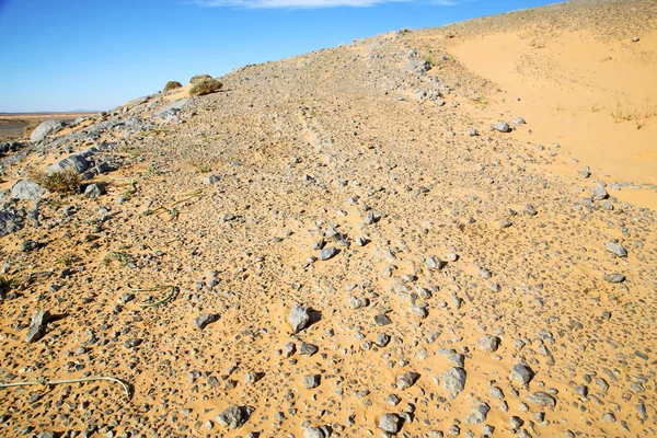 Viejo fósil en el desierto sahara y roca cielo de piedra — Foto de Stock