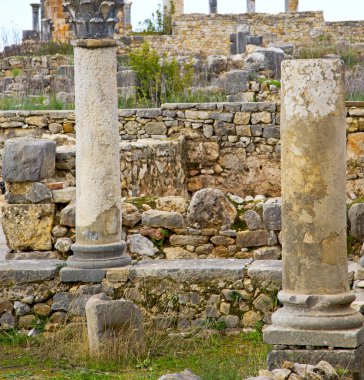 Volubilis Fas Afrika eski Roma bozulan anıt 
