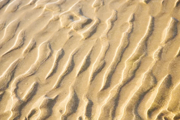 非洲海岸的沙丘附近的海洋湿沙 — 图库照片