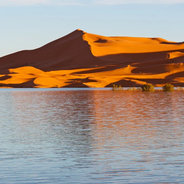 Luz do sol no lago deserto amarelo de areia de morocco e duna — Fotografia de Stock