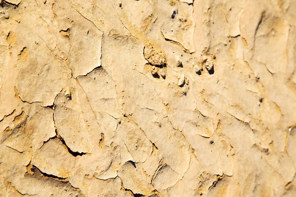 Bruin zand in de sahara woestijn Marokko erosie en — Stockfoto