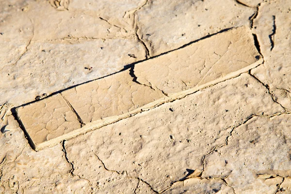 Brauner, trockener Sand im Sakara-Holz — Stockfoto