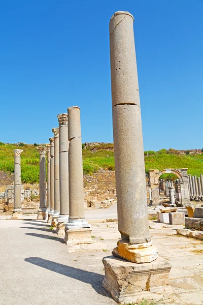 Column in old  temple   ephesus    sky  the ruins — Stock Photo, Image