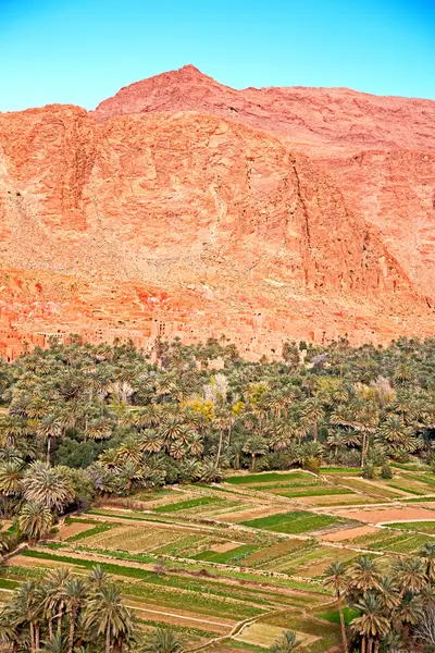 Στο todra Μαρόκο Αφρικής και το χωριό — Φωτογραφία Αρχείου