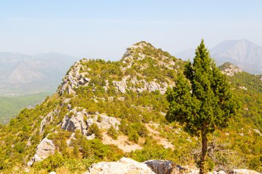  dağ Anadolu miras termessos eski bush  