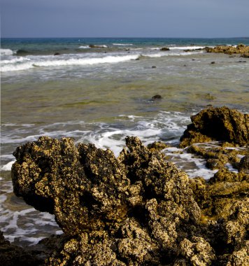 Lanzarote Adası rock İspanya Peyzaj taş 