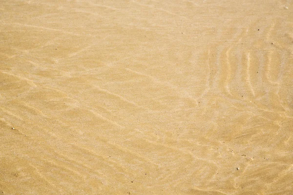 Dune in africa marrone — Foto Stock