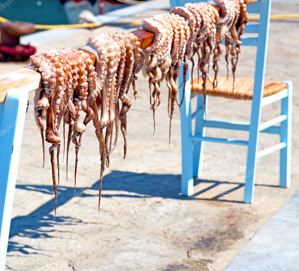 octopus   drying  in the sun europe greece santorini and light