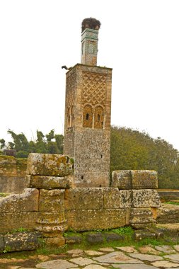 Chellah Fas Roma kötüleşti ve site