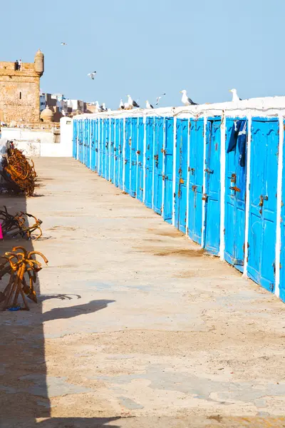 En África morocco viejas aves del puerto —  Fotos de Stock