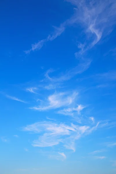 In the sky   world cloudy  cloudscape — Stock Photo, Image