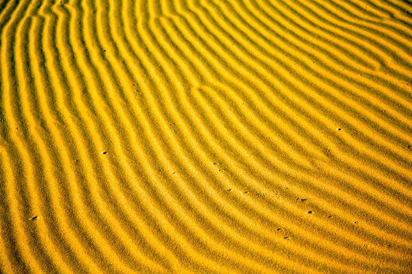 Afryki linii pustynia sand dune Maroko — Zdjęcie stockowe
