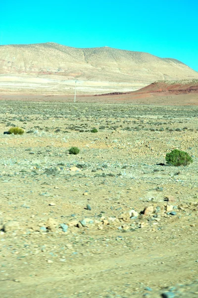 Brauner Busch im Tal Marokkos — Stockfoto