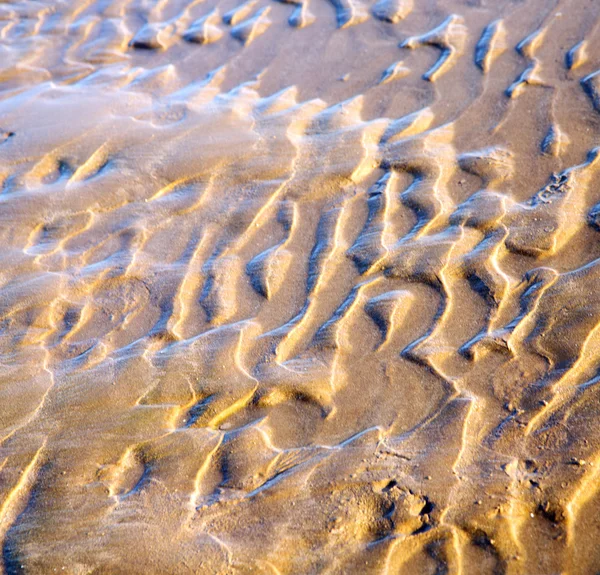 Dune Marocko i Afrika brun kusten våt sand beach nära atlan — Stockfoto