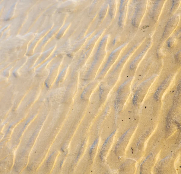Dune marocco in africa costa marrone spiaggia di sabbia bagnata vicino ad atlan — Foto Stock