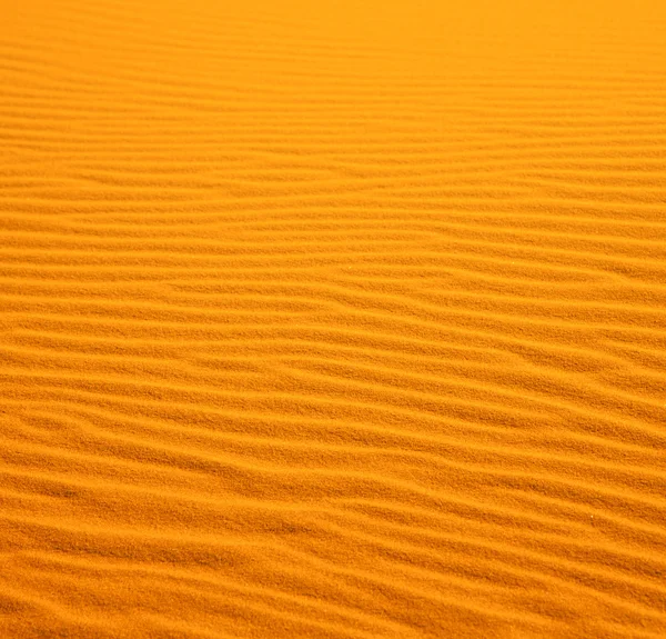 In de gele woestijn van Marokko eenzaam Duin heuvel — Stockfoto