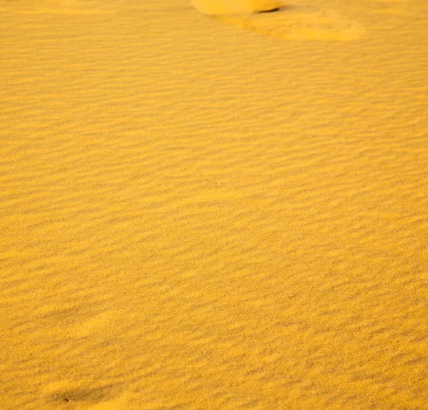 Africa the brown sand dune in   sahara morocco desert line — Stock Photo, Image