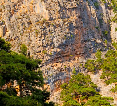 Olympos mountain bush Anadolu mirası kalıntılar tepeden 