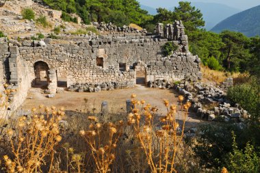 kalıntıları taş ve tiyatro 