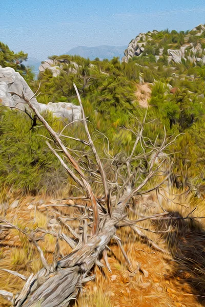 Dağ bush Harabeleri — Stok fotoğraf