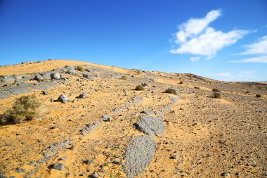  eski fosil çöl bush sahara ve taş gökyüzünde