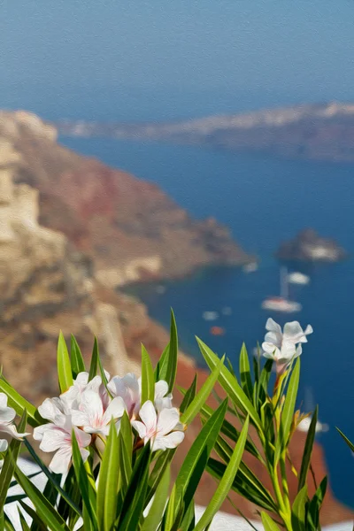 Flores en arquitectura europe cyclades santorini casco antiguo —  Fotos de Stock