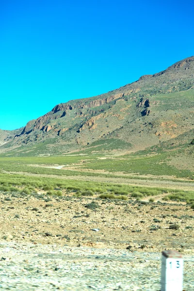 Arbusto marrom na áfrica o atlas montanha seca — Fotografia de Stock