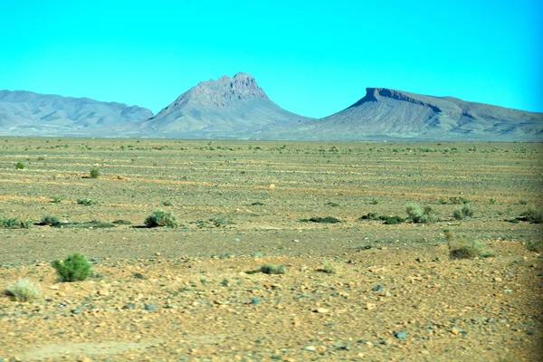 Afrika'da atlas kuru dağ bush — Stok fotoğraf