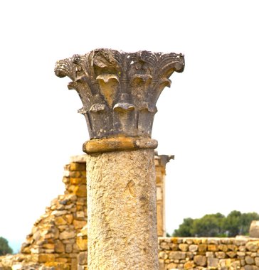 Volubilis Fas Afrika eski Roma bozulan anıt 