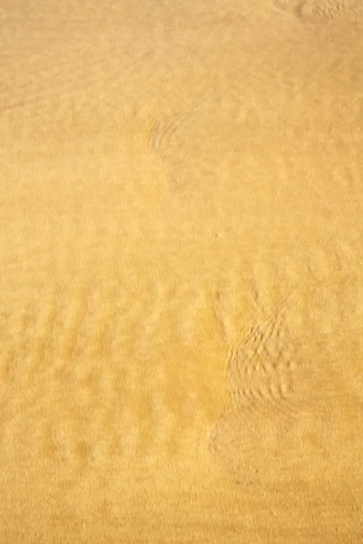 Maroko w afryka brązowy wybrzeża mokry piasek plaża w pobliżu — Zdjęcie stockowe