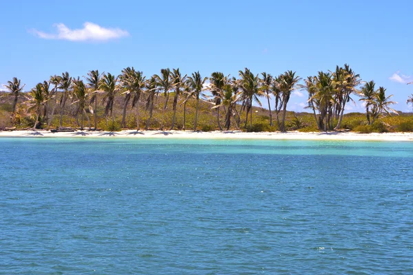 Isla contoy w Meksyku dzień fala — Zdjęcie stockowe