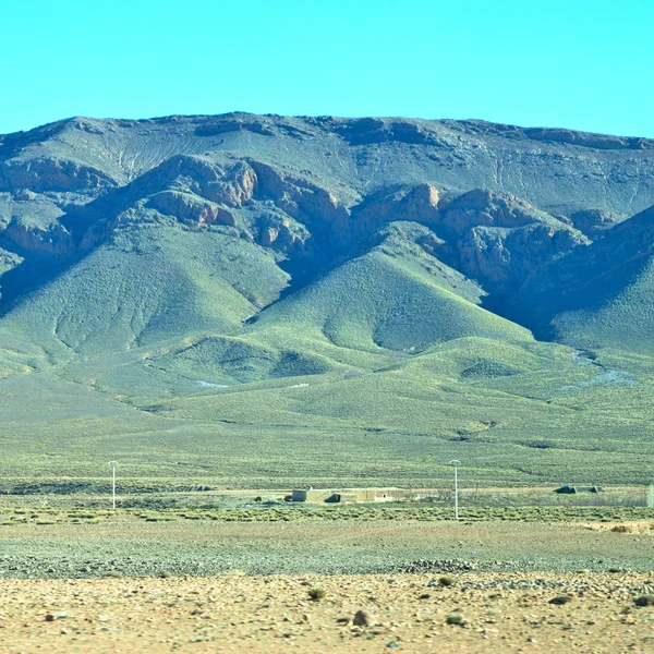 Arbusto no vale morocco áfrica o atlas montanha seca — Fotografia de Stock