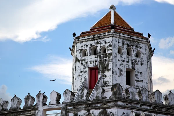 Asia  bangkok in   temple  thailand bird — Stock Photo, Image