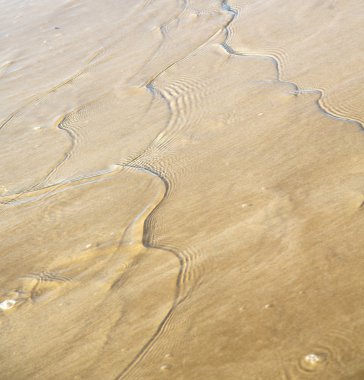 Dune Fas Afrika kahverengi kıyı şeridi atlan ıslak kum plaj