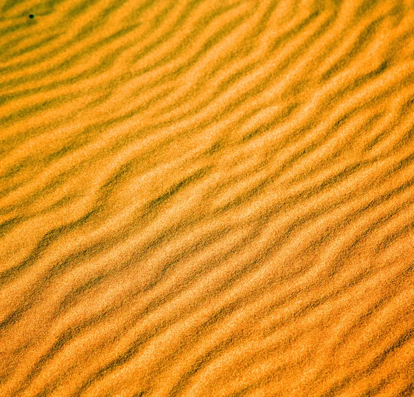 Afrika brun sanddynen i sahara Marocko öken linje — Stockfoto